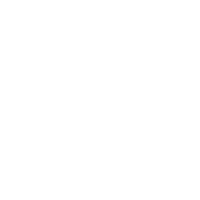 Fly With Us
